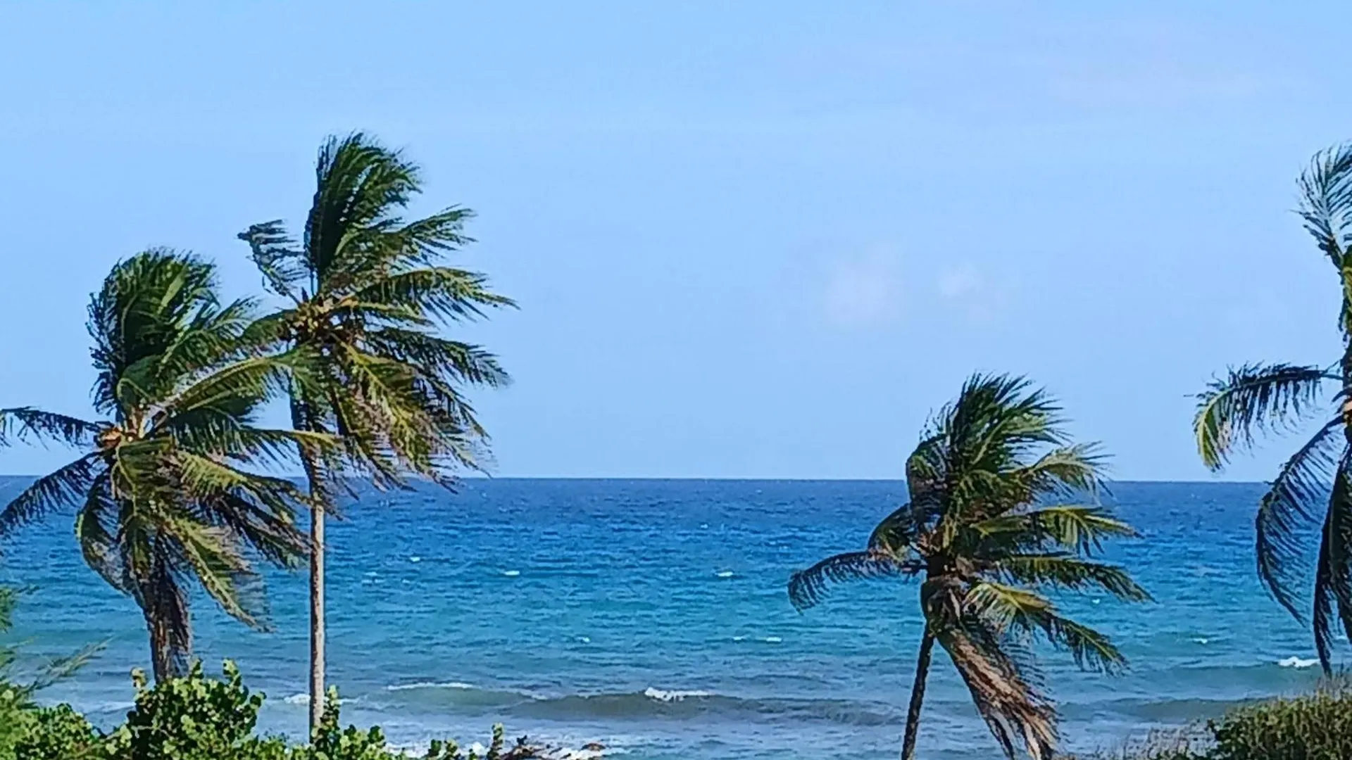 Apartment Le Balisier Vue Mer Anse Des Rochers Saint-Francois