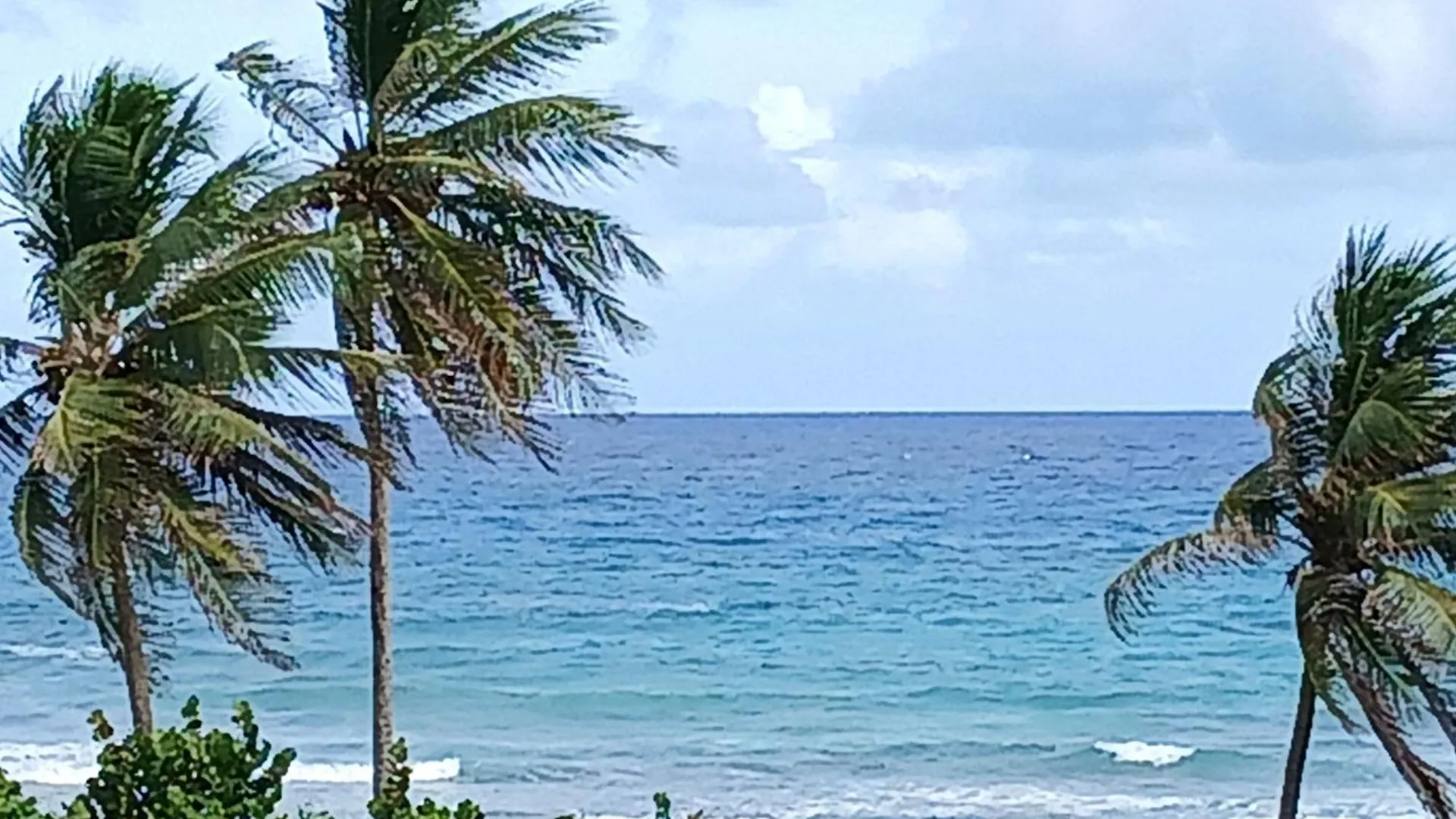 Apartment Le Balisier Vue Mer Anse Des Rochers Saint-Francois  Guadeloupe